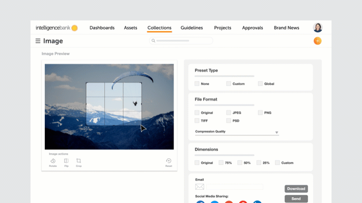Digital_Asset_Management_Software_Image_Download Digital Asset Management Software image download