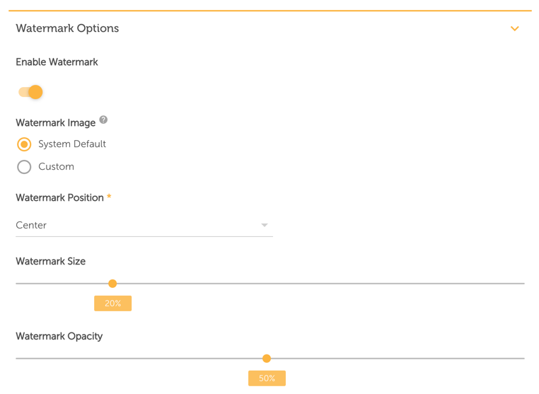 Watermark Options Video Watermark Options