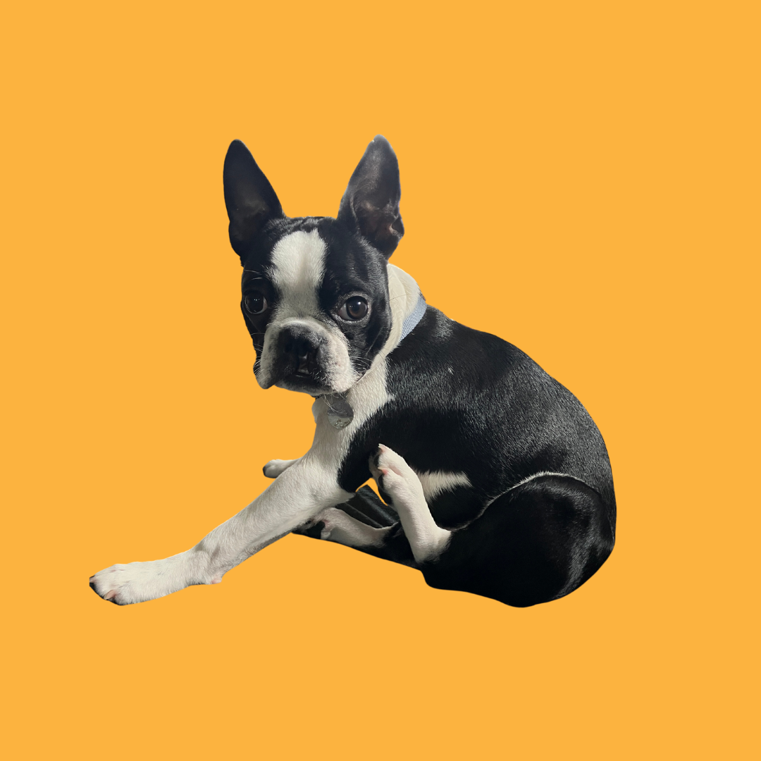 Digital File Formats Explained